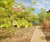 коттедж 241 кв м Майский переулок, 23