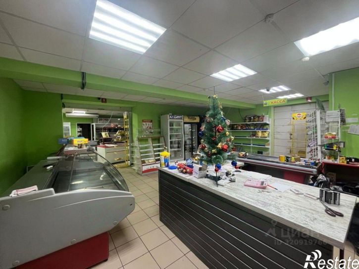 Торговое помещение улица Пушкина, 124,  д. 124