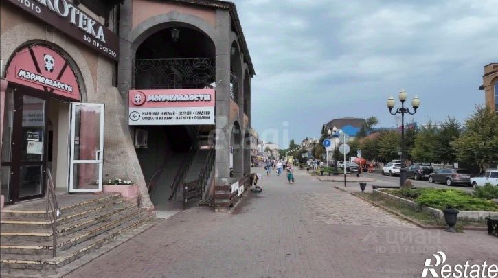 Торговое помещение улица Победы, 113,  д. 113