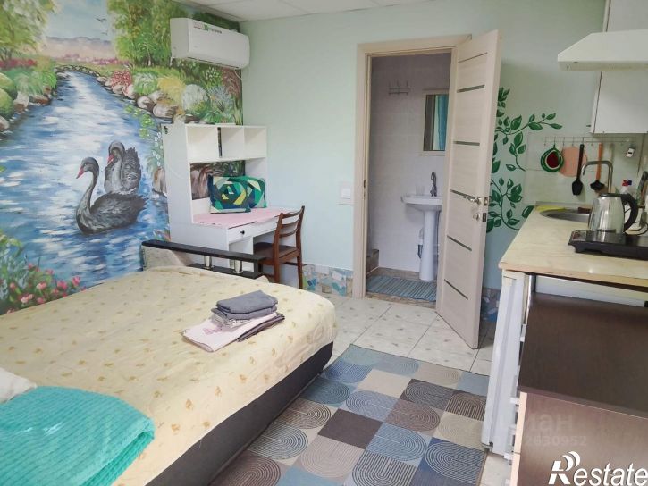 1-комн квартира ул Центральная, 24,  д. 24