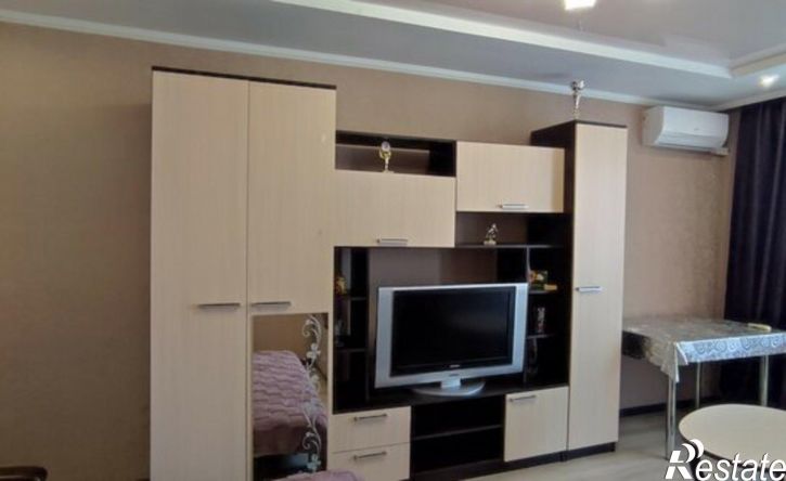 1-комн квартира ул Плеханова, 1/1,  д. 1/1
