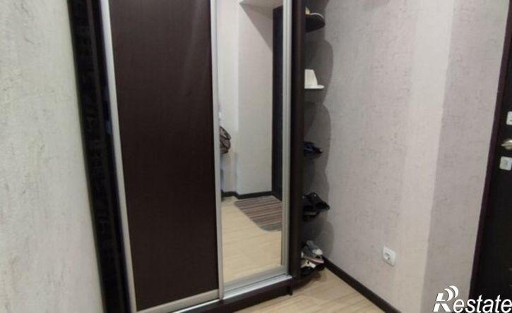 1-комн квартира ул Плеханова, 1/1,  д. 1/1